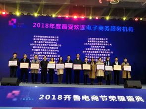 2018齐鲁电商节荣耀盛典在济南隆重举行，聚焦电子商务技术服务创新