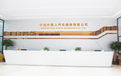 宁波外星人汽车服务 电子商务技术驱动汽车服务新变革